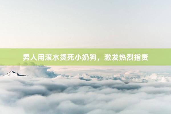 男人用滚水烫死小奶狗，激发热烈指责