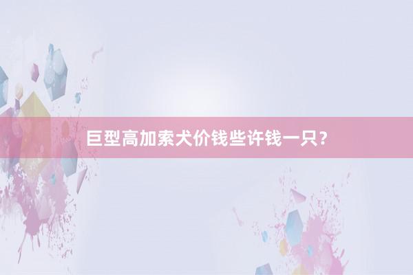 巨型高加索犬价钱些许钱一只？